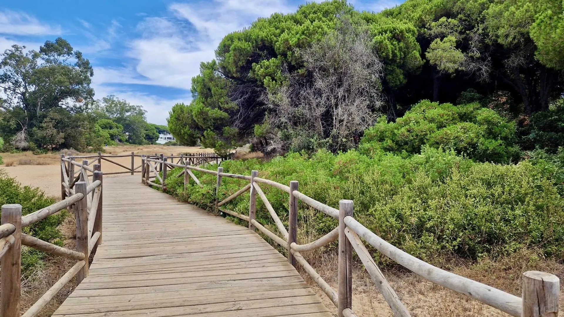 Sr Carib Playa Marbella Apartment Spain